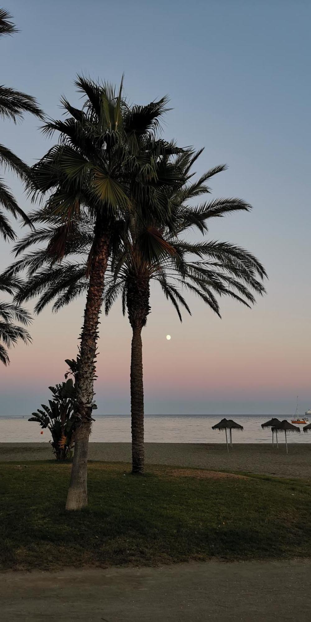 Encantador Bajo En Malaga Bagian luar foto
